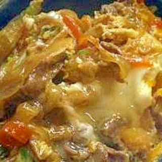 安いお肉でも美味しい　｢他人丼ぶり」　　♪♪